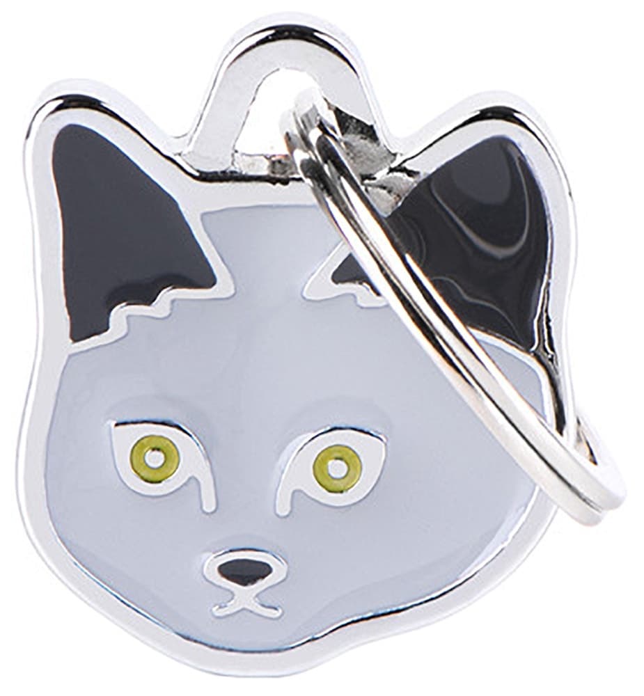 Placa de identificação MyFamily Chartreux MF35 - Cinza image
